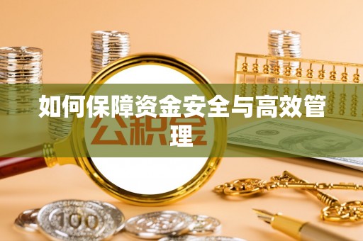 新林如何保障资金安全与高效管理