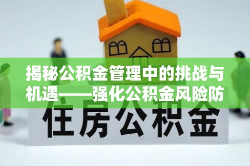 新林揭秘公积金管理中的挑战与机遇——强化公积金风险防控的多维策略
