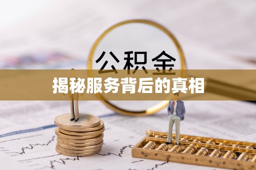 新林揭秘服务背后的真相