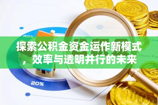 新林探索公积金资金运作新模式，效率与透明并行的未来