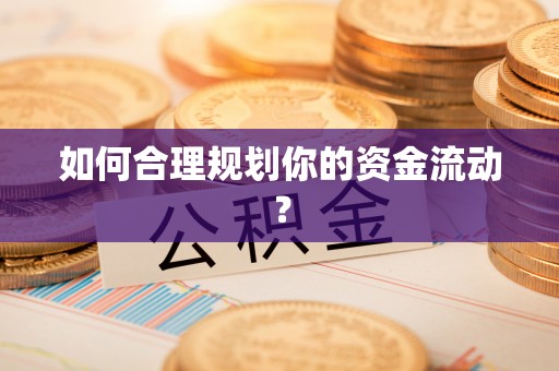新林如何合理规划你的资金流动？