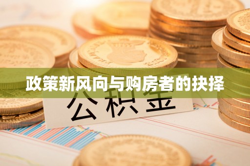 新林政策新风向与购房者的抉择