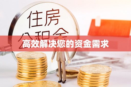 新林高效解决您的资金需求