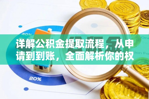 新林详解公积金提取流程，从申请到到账，全面解析你的权益与操作步骤