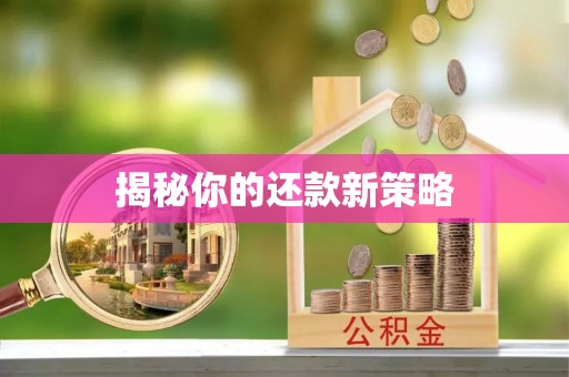 新林揭秘你的还款新策略