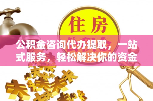 新林公积金咨询代办提取，一站式服务，轻松解决你的资金难题