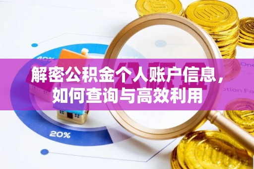 新林解密公积金个人账户信息，如何查询与高效利用