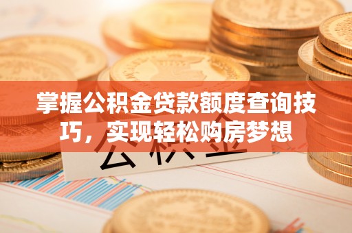 新林掌握公积金贷款额度查询技巧，实现轻松购房梦想