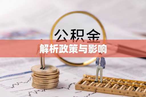 新林解析政策与影响
