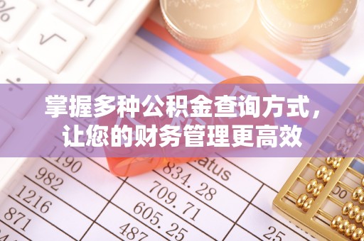 新林掌握多种公积金查询方式，让您的财务管理更高效