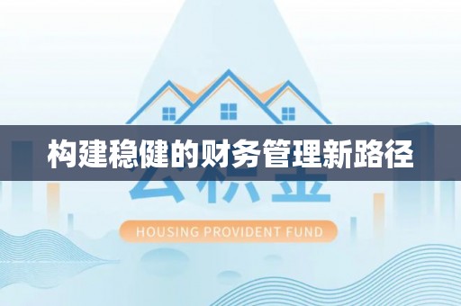 新林构建稳健的财务管理新路径