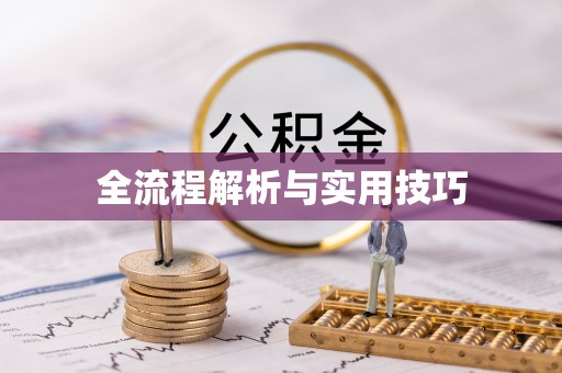 新林全流程解析与实用技巧