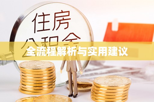 新林全流程解析与实用建议