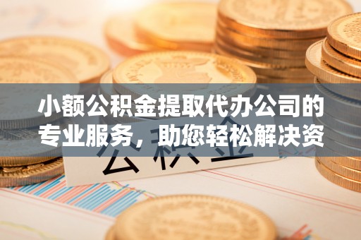 新林小额公积金提取代办公司的专业服务，助您轻松解决资金难题