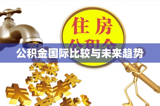 新林公积金国际比较与未来趋势