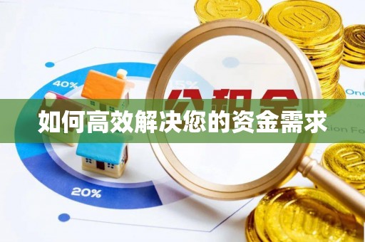 新林如何高效解决您的资金需求