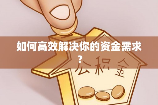 新林如何高效解决你的资金需求？