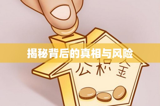 新林揭秘背后的真相与风险