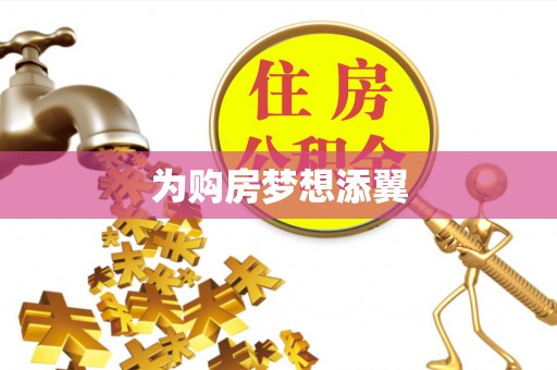 新林为购房梦想添翼