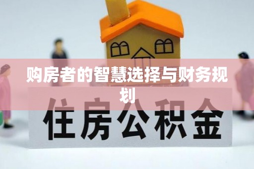 新林购房者的智慧选择与财务规划