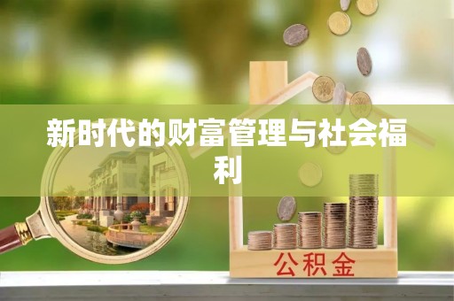新林新时代的财富管理与社会福利