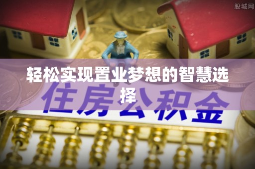 新林轻松实现置业梦想的智慧选择