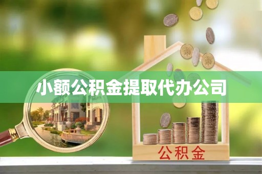 新林小额公积金提取代办公司