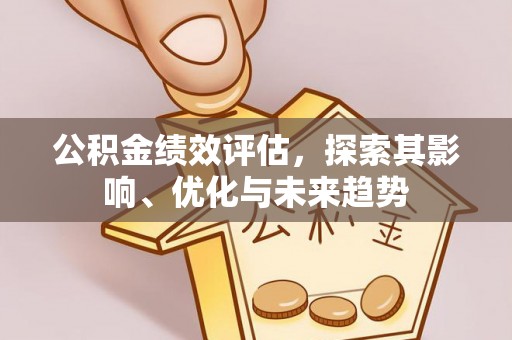 新林公积金绩效评估，探索其影响、优化与未来趋势