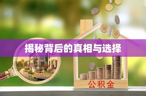 新林揭秘背后的真相与选择