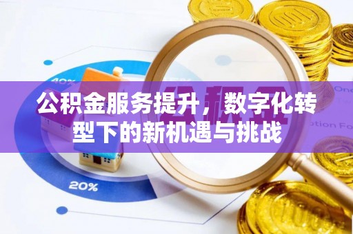 新林公积金服务提升，数字化转型下的新机遇与挑战