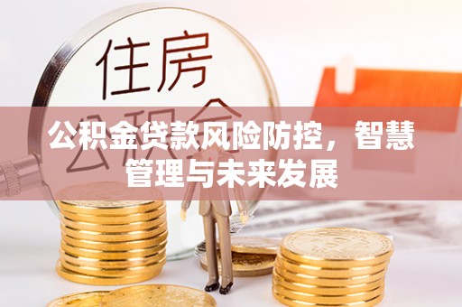 新林公积金贷款风险防控，智慧管理与未来发展