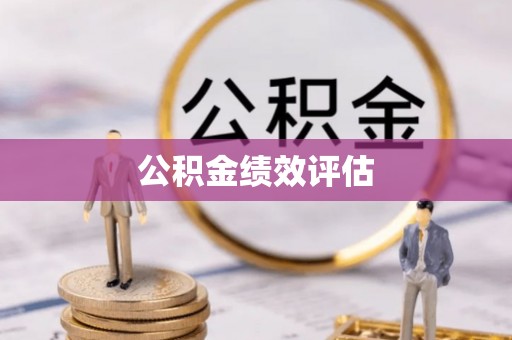新林公积金绩效评估