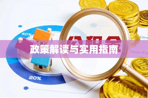 新林政策解读与实用指南