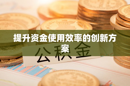 新林提升资金使用效率的创新方案