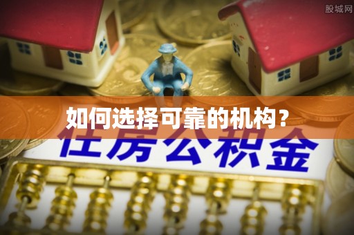 新林如何选择可靠的机构？