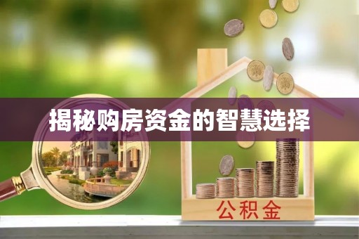 新林揭秘购房资金的智慧选择