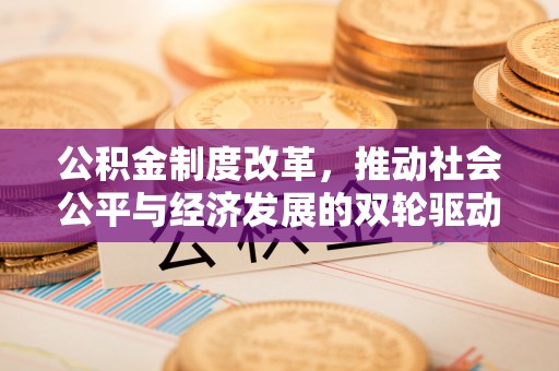 新林公积金制度改革，推动社会公平与经济发展的双轮驱动