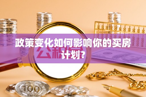 新林政策变化如何影响你的买房计划？