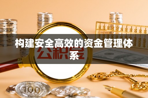 新林构建安全高效的资金管理体系