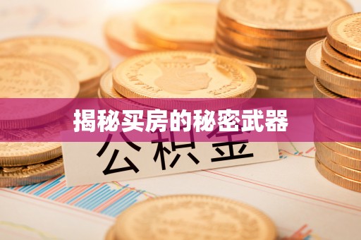 新林揭秘买房的秘密武器