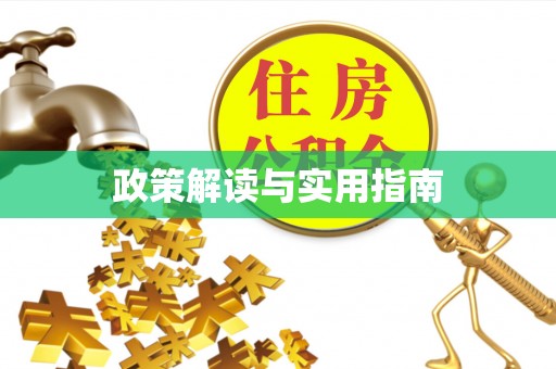 新林政策解读与实用指南