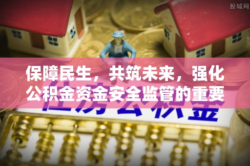 新林保障民生，共筑未来，强化公积金资金安全监管的重要性