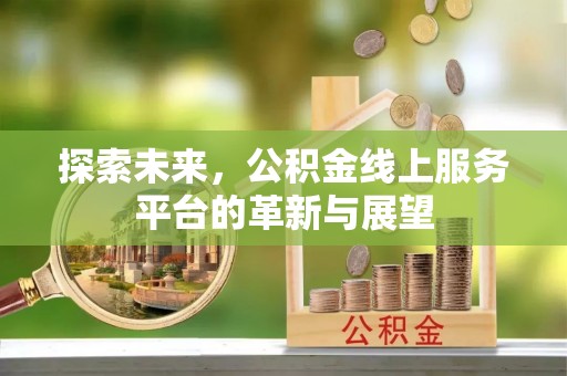 新林探索未来，公积金线上服务平台的革新与展望