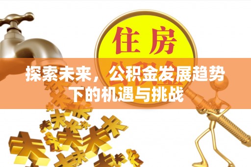 新林探索未来，公积金发展趋势下的机遇与挑战