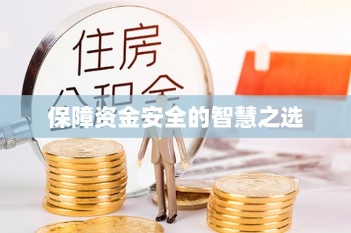 新林保障资金安全的智慧之选