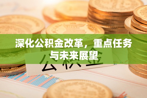 新林深化公积金改革，重点任务与未来展望