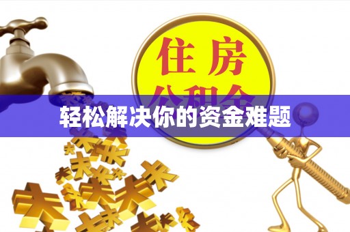 新林轻松解决你的资金难题
