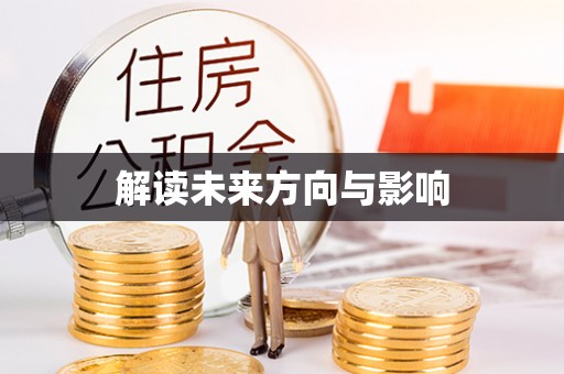 新林解读未来方向与影响