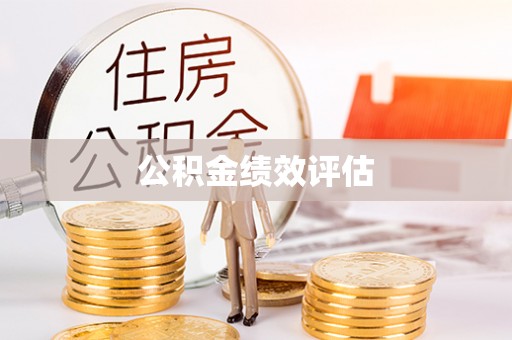 新林公积金绩效评估