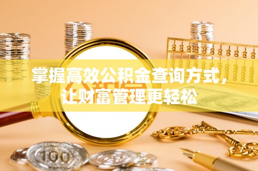 新林掌握高效公积金查询方式，让财富管理更轻松